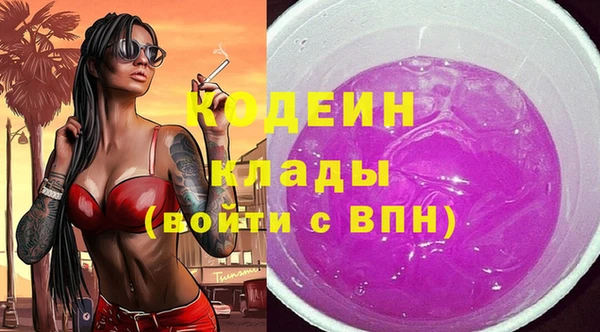 мдпв Лагань